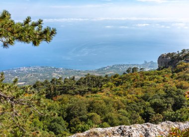 Deniz kıyısındaki dağ yamacında yeşil ağaçlar. Güzel bulutlu mavi gökyüzü