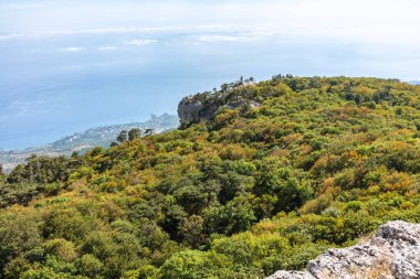 Deniz kıyısındaki dağ yamacında yeşil ağaçlar. Güzel bulutlu mavi gökyüzü