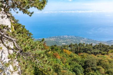 Deniz kıyısındaki dağ yamacında yeşil ağaçlar. Güzel bulutlu mavi gökyüzü