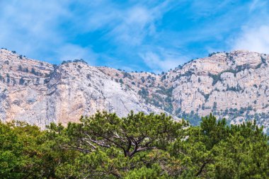 Mavi arka planda yüksek kayalık dağlar. Dağ yamacındaki yeşil çam ormanı. Yeşil ve kayalık yamaçlı dağ sıraları.