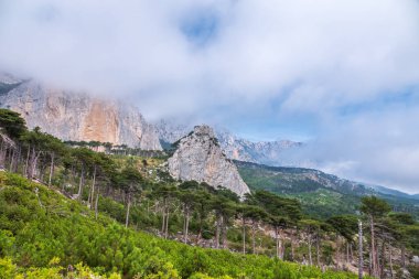 Ormandaki yüksek taştan kayalar sisli bir yamaçta. Dağ yamacındaki yeşil çam ormanı. Bulutlu bir günde dağlarda yoğun sis.