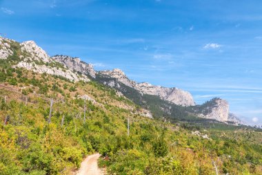 Yüksek bir kayalık dağın yamacında düşen çamlar. Yüksek taş kaya ve orman bir tepenin yamacında sislerin içinde mavi gökyüzü arka planında. Dağ yamacında yeşil çam ormanı.
