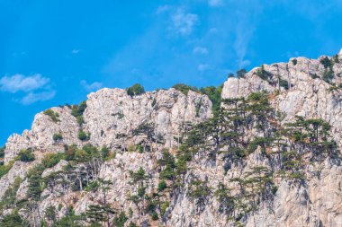 Mavi arka planda yüksek kayalık dağlar. Dağ yamacındaki yeşil çam ormanı. Yeşil ve kayalık yamaçlı dağ sıraları.
