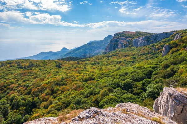 Rocky mountain on sea shore with high green trees on slope. Seascape with cloudy sky.