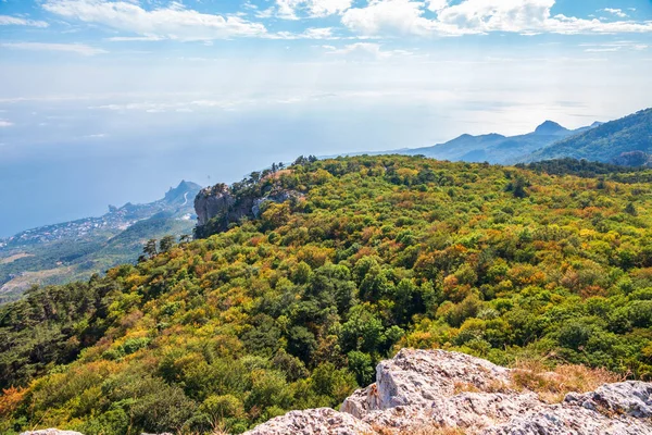 Paisaje Otoñal Con Caballos Bajo Pino Solitario Caballos Estepa Otoño — Foto de Stock