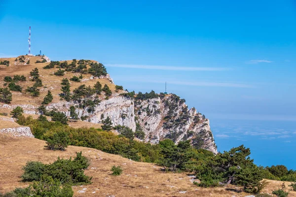 孤独な松の木の下で馬と秋の風景 孤独な木の下で秋の草原で馬 青空の背景 — ストック写真