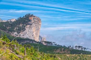 Ormandaki yüksek taştan kayalar sisli bir yamaçta. Dağ yamacındaki yeşil çam ormanı. Bulutlu bir günde dağlarda yoğun sis.