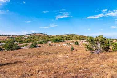 Dağlarda aydınlık bir sonbahar günü. Steppe manzarası alçak ağaçlarla dolu bir dağ platosunda.