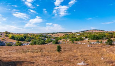 Dağlarda aydınlık bir sonbahar günü. Steppe manzarası alçak ağaçlarla dolu bir dağ platosunda.