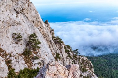Yüksek taş kaya ve orman bir tepenin yamacında sislerin içinde mavi gökyüzü arka planında. Dağ yamacındaki yeşil çam ormanı. Bulutlu bir günde dağlarda sis.