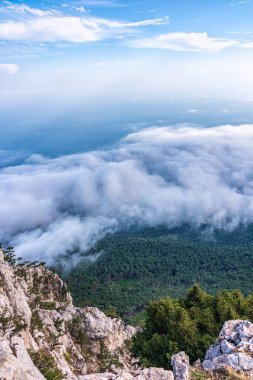 Akşam sisinin ortasında yamaçtaki kalın yeşil orman. Yoğun siste yeşil dağ ormanı. Dağ ormanlarında bulutlu hava. Sisteki ağaçlar.