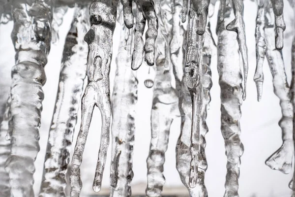 Transparent Icicles White Background Spring Weather Abstract Ice Background — Stock Photo, Image