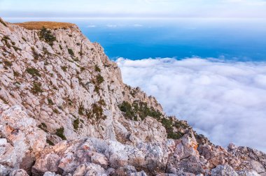 Yoğun siste yüksek taş kayalar. Dağ yamacında yeşil çam ağaçları. Bulutlu bir günde dağlarda yoğun sis.
