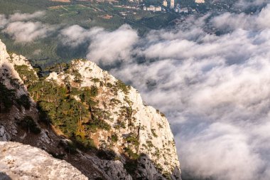 Yoğun siste yüksek taş kayalar. Dağ yamacında yeşil çam ağaçları. Bulutlu bir günde dağlarda yoğun sis.