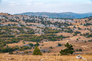 Dağlarda aydınlık bir sonbahar günü. Steppe manzarası alçak ağaçlarla dolu bir dağ platosunda.