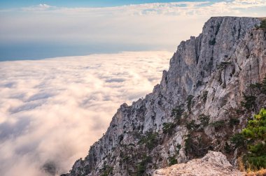 Yoğun siste yüksek taş kayalar. Dağ yamacında yeşil çam ağaçları. Bulutlu bir günde dağlarda yoğun sis.