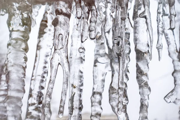 Transparente Eiszapfen Auf Weißem Hintergrund Frühlingswetter Abstrakter Eishintergrund — Stockfoto