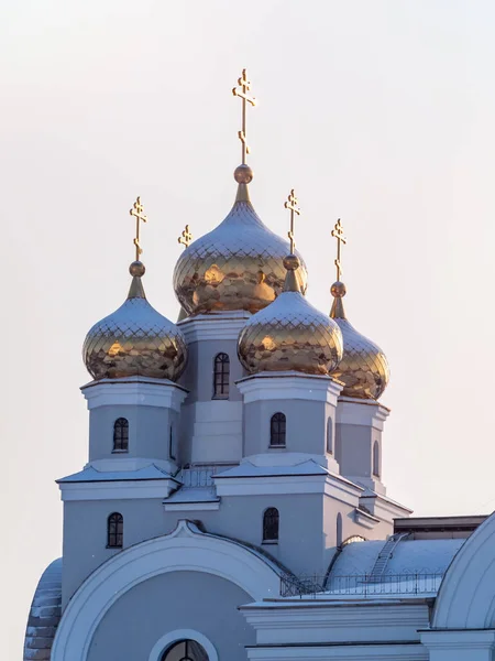 The golden domes of the Christian church are covered with snow in winter. Orthodox temple with golden domes.