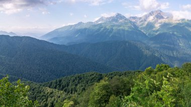 Dağların, yeşil yaprak döken ormanlarla kaplı yamaçlarının panoramik manzarası ve arkalarında ağaçların arasından karla kaplı yüksek tepeler. Kafkaslar, Krasnaya Polyana, Soçi, Rusya