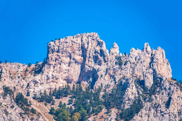 High mountains with forested slopes and peaks on blue sky background. Crimea Mountains on a bright day. Location place Ai-Petri, Crimea.