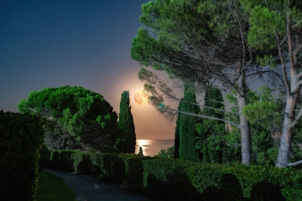 Landscape of night park on sea shore with clear sky with red fool moon, dark tone. Tranquil park and sea in the night with fool moon. Vorontsov Park, or the Alupka Park, Alupka, Crimea.