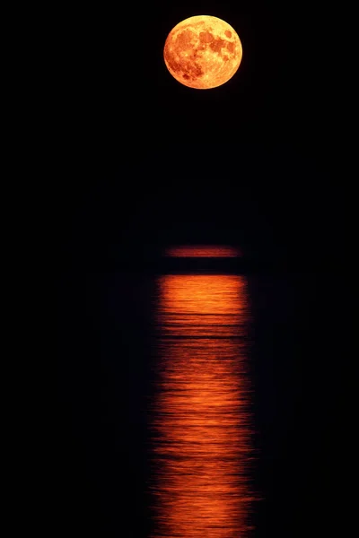 Super full blood moon and moon light over the sea. Full red moon with reflection in water with details of the lunar surface.