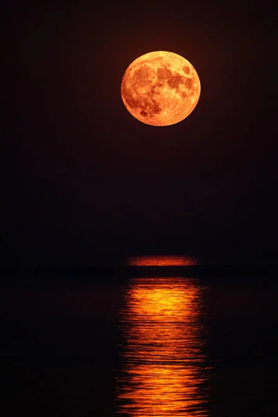 超满血的月亮和月亮照在海面上 倒映在水中 有月球表面的细节 — 图库照片