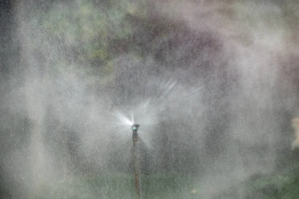 Abstracte Plons Water Zwarte Achtergrond Bevries Beweging Van Witte Waterdeeltjes — Stockfoto