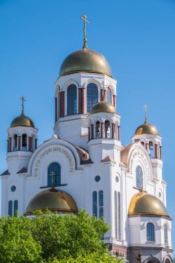 Ortodoks Kilisesi ve mavi gökyüzünün arka planında yeşil ağaç var. Ortodoks katedralinin arka planında çiçek açan elma dalı. Tapınakta altın harflerle yazılmış eski Slavca dualar satırları var. Geçici