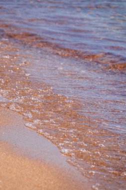 Kumlu sahilde denizin yumuşak dalgası. Deniz dalgası ve altın kum.