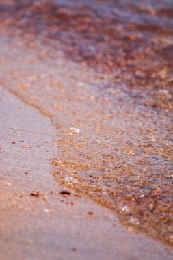 Kumlu sahilde denizin yumuşak dalgası. Deniz dalgası ve altın kum.