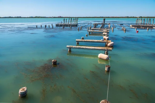 Wooden pier or jetty remains on a blue lake sunset. Old wooden sea pier