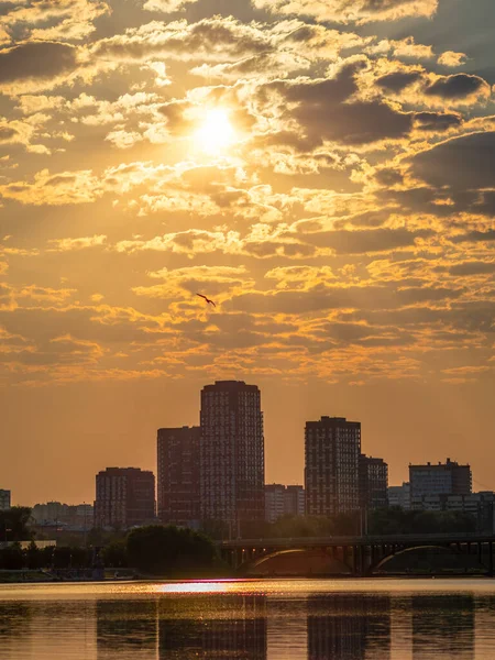 在夕阳西下 枝叶丛生 绿叶和红叶嫩绿 背景图像 — 图库照片