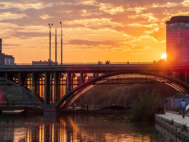Gün batımında yeşil ve kırmızı yapraklı çalıların dalları. Arkaplan resmi.