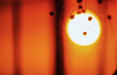 Nesnelerde güneşli bir sabahın yansıması