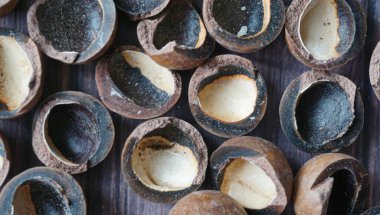 Tahta kahverengi arka planda Macadamia kabukları