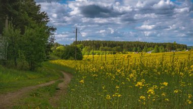 Çiçeklerin alt görüntüsü bulutların ve güneşin arka planına karşı