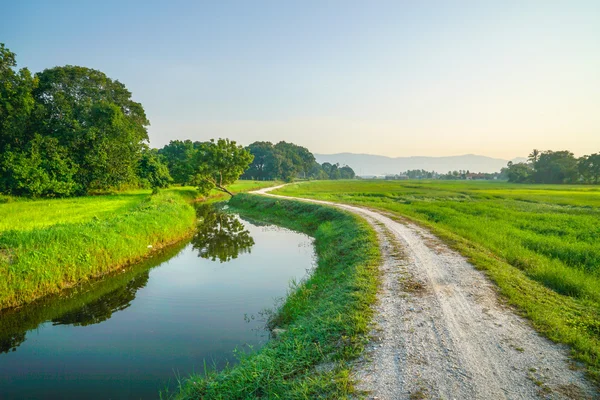 Paesaggio di campagna in un paese tropicale — Foto Stock