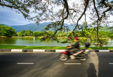 Güzel Taiping Lake Gardens