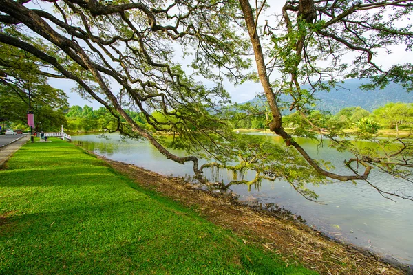 美丽的太平湖花园 — 图库照片
