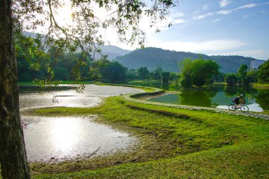 Taiping Lake Gardens