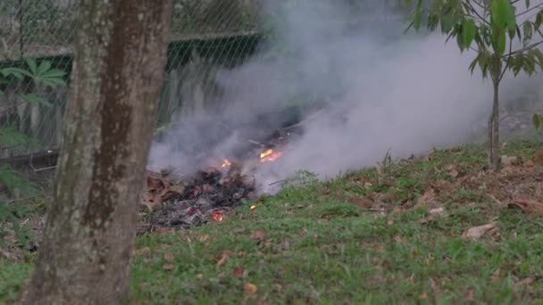 Hojas Abiertas Secas Quemadas Con Humo Pesado Que Contamina Aire — Vídeo de stock