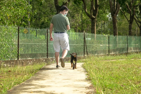 Dog Follow Man Wearing Mask While Taking Walk Park Outdoor — Stock Photo, Image