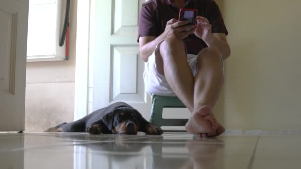 Hund Liegt Neben Erwachsenem Mann Und Liest Sein Smartphone Drinnen — Stockvideo