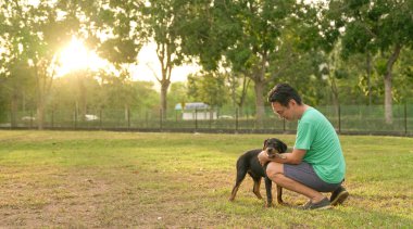 Parkta evcil köpekle oynayan bir adam, gün batımı doğa geçmişi..