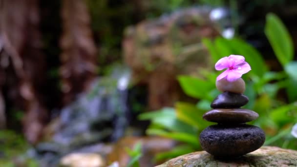 Piedras Apiladas Piedras Con Una Flor Rosa Parte Superior Mini — Vídeos de Stock