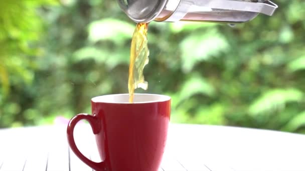 Barista Vertiendo Café Prensa Francesa Taza Roja Cámara Lenta Primer — Vídeo de stock