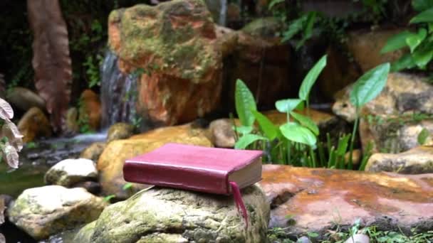 Santa Biblia Sienta Una Piedra Jardín Rocas Con Mini Cascada — Vídeos de Stock