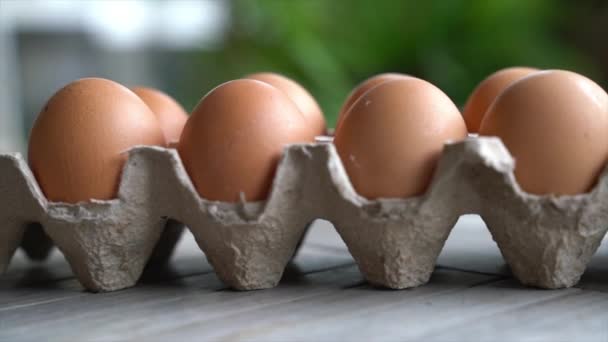 Свіжі Яйця Картонній Коробці — стокове відео
