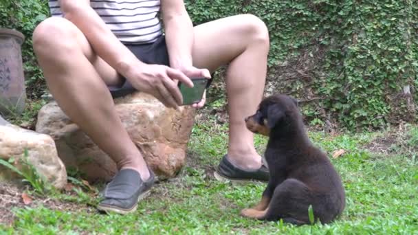 Yetişkin Bir Adam Bahçesinde Kameralı Telefonuyla Yavru Köpeğinin Fotoğraflarını Çekiyor — Stok video